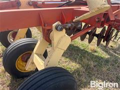 IMG_9298.jpeg