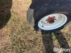 IMG_9285.jpeg