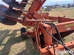 IMG_9292.jpeg
