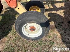IMG_9282.jpeg