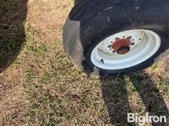 IMG_9284.jpeg
