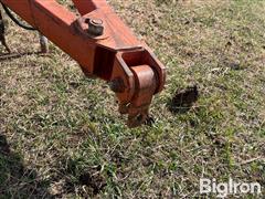IMG_9290.jpeg