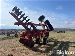 IMG_9278.jpeg