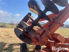 IMG_9293.jpeg