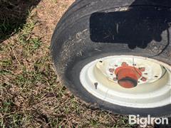 IMG_9283.jpeg