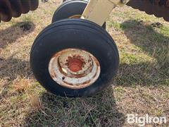 IMG_9295.jpeg