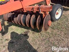 IMG_9287.jpeg