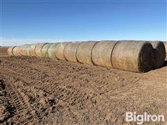 Net Wrapped 3rd Cutting Alfalfa Round Bales 