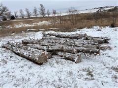 Rough Cut Cedar Logs 