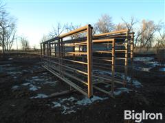 Freestanding 24' Steel Livestock Panels 