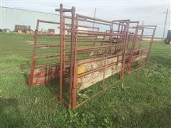 Cattle Working Alleyway 