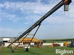 auger-509_9ade94d2e64241e5b9368c0626d7bc08.jpg