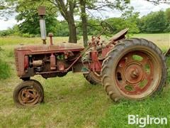 20250613_120447.jpg