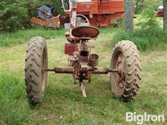 20250613_120410.jpg