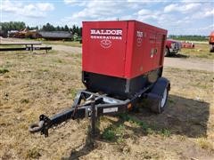 Baldor Portable Generator 