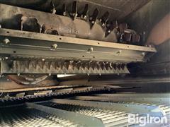 IMG_4042.jpeg