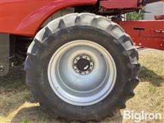 IMG_3987.jpeg