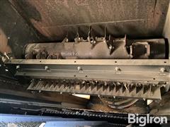 IMG_4047.jpeg