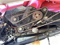 IMG_4029.jpeg