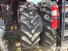 IMG_4013.jpeg