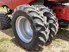 IMG_3988.jpeg