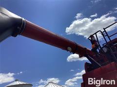 IMG_3979.jpeg