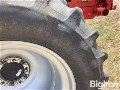 IMG_3986.jpeg