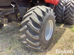 IMG_3984.jpeg