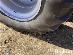 IMG_3964.jpeg