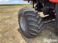 IMG_3989.jpeg