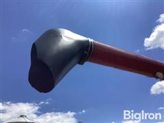 IMG_3978.jpeg