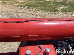 IMG_4084.jpeg