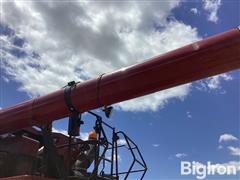 IMG_3976.jpeg