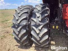 IMG_4012.jpeg