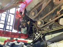 IMG_4028.jpeg