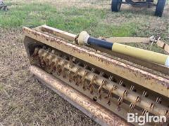IMG_2085.jpeg