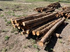 Cedar Posts 