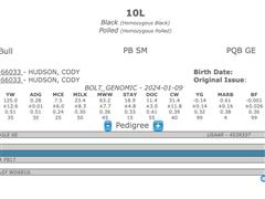 10L Pedigree.jpeg