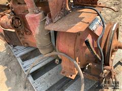 IMG_1489.jpeg