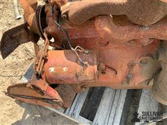 IMG_1491.jpeg