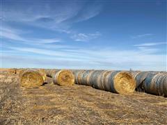 Oat/Pea Hay 