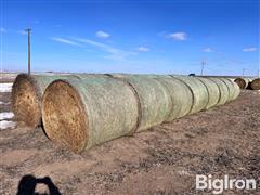 2nd Cutting Alfalfa Round Bales 