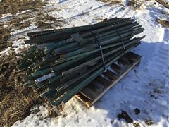 Steel T-posts 