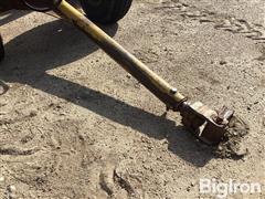 d815a280947a4b50828ba02ee24ddf96.jpg