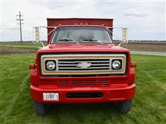 items/ddfcb6abb721ef118ee800224890aa2e/1977chevroletcustomdeluxec65graintruck_7517f6bdc3bb4bca800eb43edb06c0bb.jpg