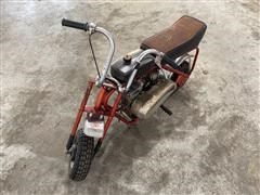 Trail Flite Mini Bike 