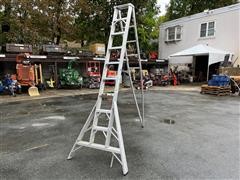 Metallic 10' Step Ladder 