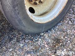IMG_3288.jpeg