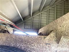 IMG_3271.jpeg