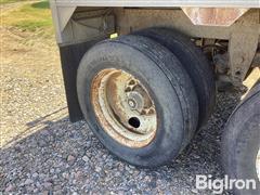 IMG_3285.jpeg